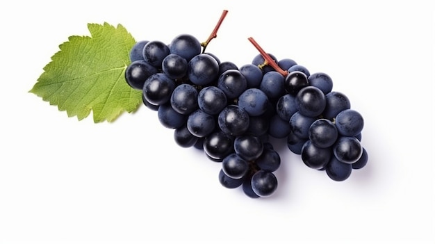 Dark blue grape with leaves isolated on white background Black grape with leaves on white bg