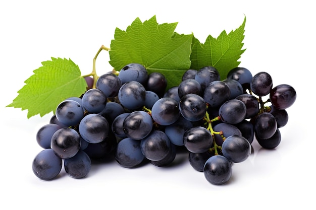 Dark blue grape with leaves isolated on white background