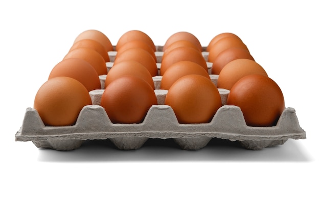 Dark brown chicken eggs lie in the cells of a paper container that sits entirely in the center