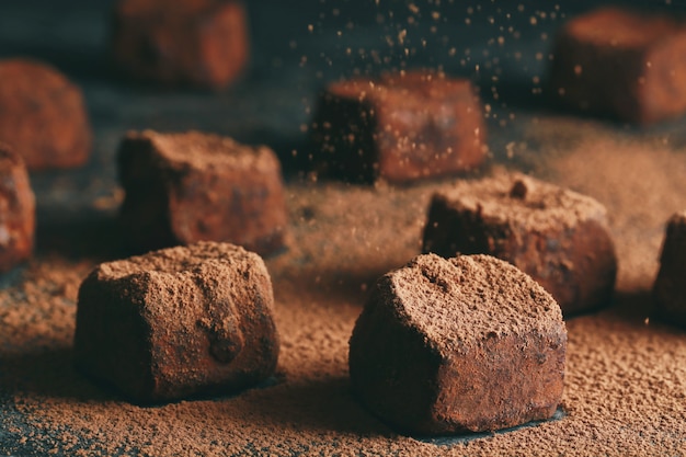 Dark chocolate candies in cocoa powder