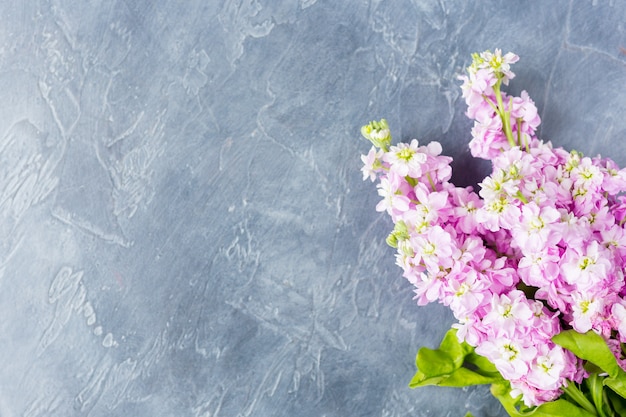 Dark Desktop view with Bouquet of Beautiful lilac mattiola. Copy space.