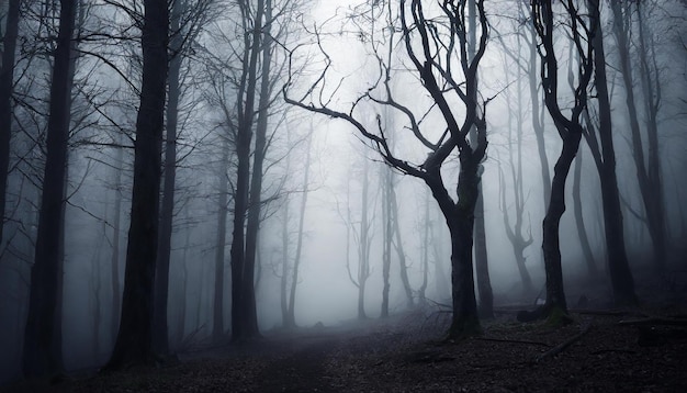 Dark forest with dead trees in fog Mysterious horror scenery Mystical atmosphere