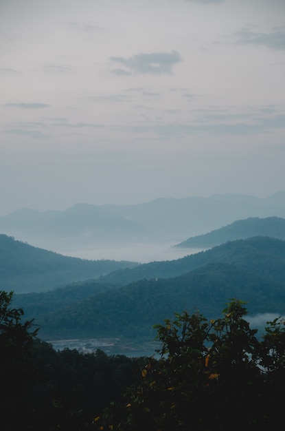 Dark green hill and fog with tree foreground