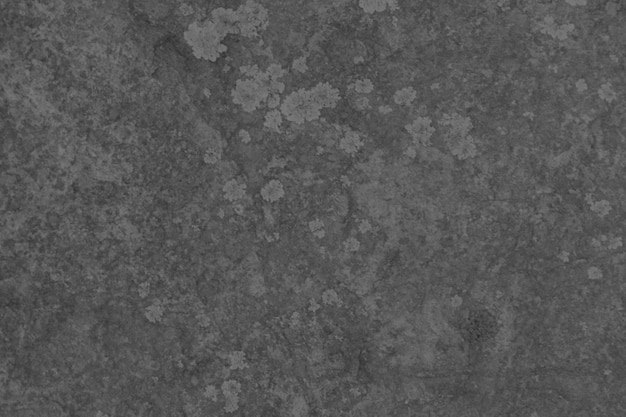 Photo a dark grey concrete wall with a white background and a dark gray textured surface.