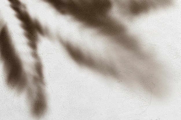 Dark leaves shade on stone surface