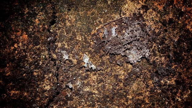 Dark old wall texture background walls full of scratches and moss