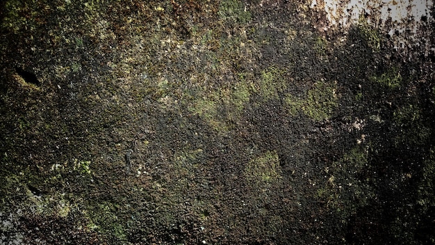 Dark old wall texture background walls full of scratches and moss