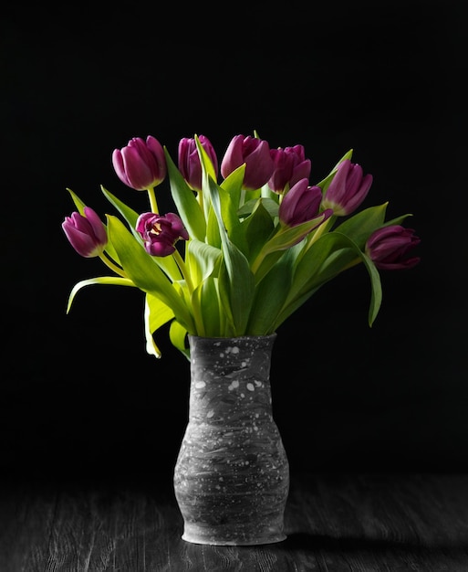 Dark purple tulips on a black background