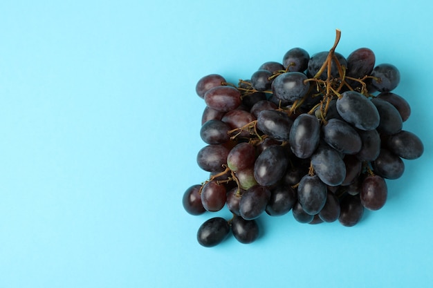 Dark ripe grape on blue background, space for text