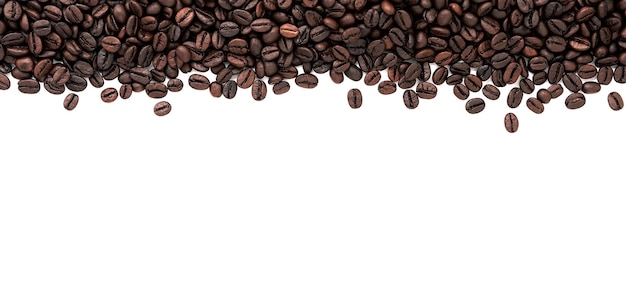 Dark roasted coffee beans setup on white background with copy space