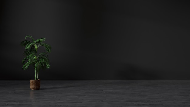 Dark room with a shadow on the wall from a window with a green plant in the room - 3D rendering