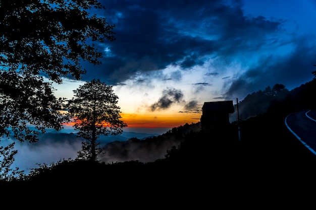 Dark Silhouettes of Trees and Amazing Cloudy Sky on Sunset at Black Sea Turkey