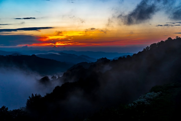 Dark Silhouettes of Trees and Amazing Cloudy Sky on Sunset at Black Sea Turkey