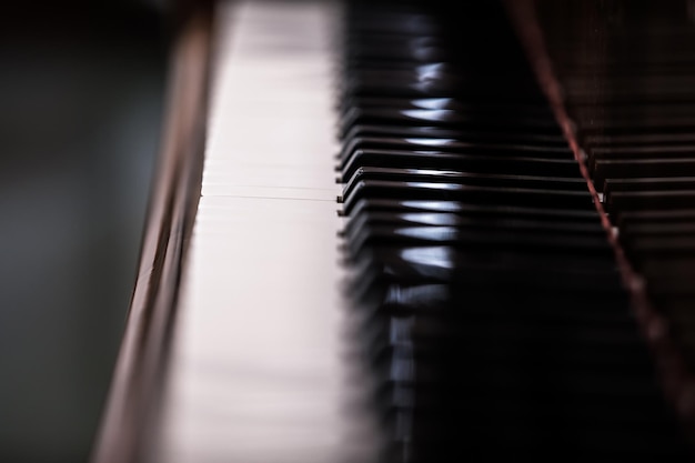 Dark and white keys of a piano