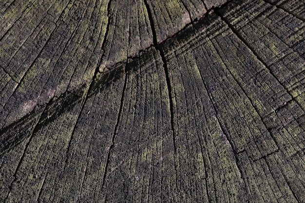 Dark wooden wood background Wood texture blank