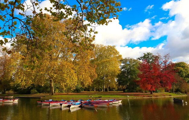 The Daumesnil lake in autumn Vincennes forestParis France