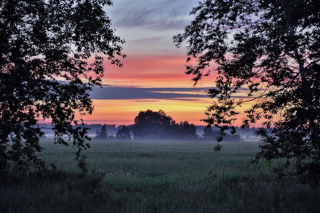 Dawn foggy morning morning fog