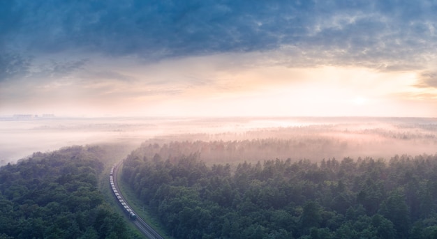 Dawn over the forest through which the railway line runs. Wonderful summer bright landscape.