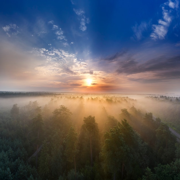 Dawn over the forest. Wonderful summer morning landscape.