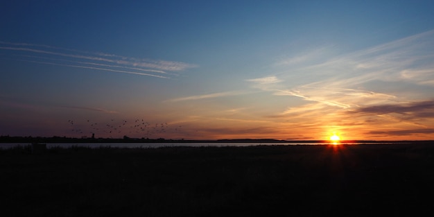 Dawn on the lake in the summer. Sun rays, silhouettes of flying birds and beautiful clouds.