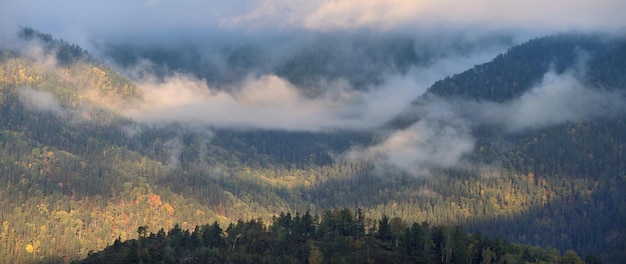 Dawn in the mountains fog and clouds on the peaks panoramic