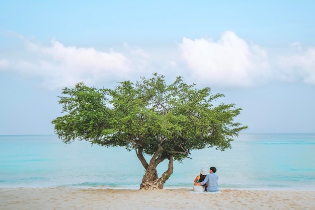 Daytime atmosphere under the trees white sandy beach seaside clear water Koh Larn Tropical Beach Pattaya City Chonburi Thailand