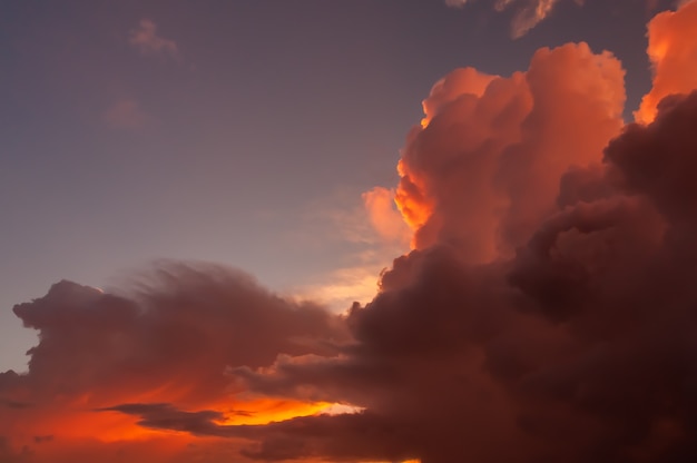 Dazzling pink cumulonimbus clouds illuminated by a magic sunlight