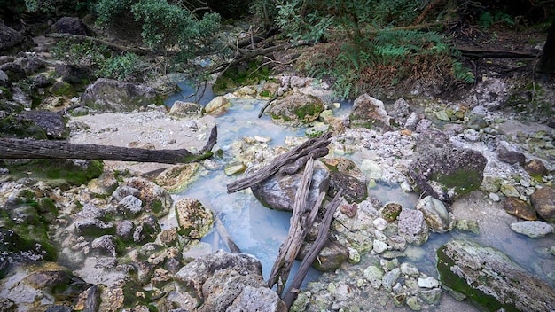 Dead crater in the beautiful Halimun Salak mountain area