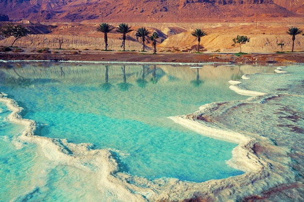 Dead sea salt shore