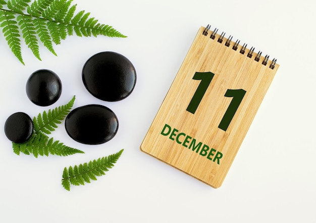 December 11 11th day of the month calendar date Notepad black stones green leaves Winter month the concept of the day of year