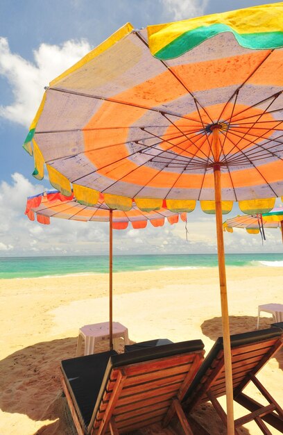 Deck chairs by parasols at beach