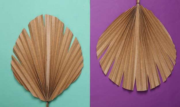 Decor dry palm leaves on purple blue background