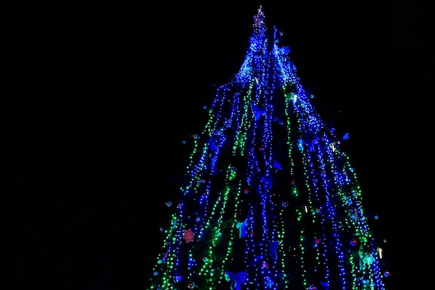 Decorated Christmas tree with multi-colored lights at night