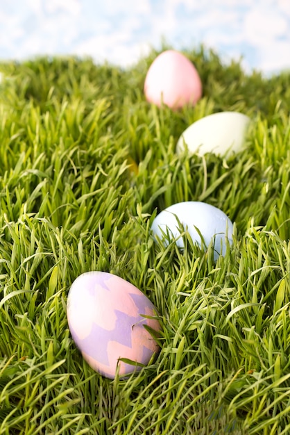 Decorated easter eggs in the grass