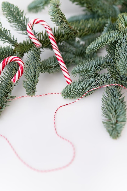 Decorated nobilis christmas tree with candy canes and red thread Preparing for Christmas and New Year 20232024 Place for an inscription