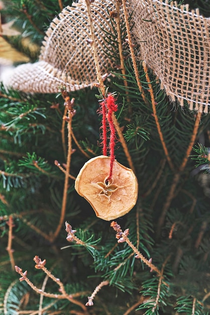 Decorating Christmas tree with dried piece apple with ribbon Natural Xmas ornaments for Christmas tree zero waste