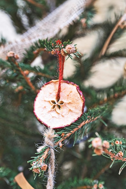 Decorating Christmas tree with dried piece apple with ribbon Natural Xmas ornaments for Christmas tree zero waste