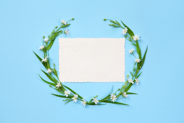 Decoration elements of delicate wildflowers and leaves. Blue background. Holiday frame. Copy space, flat lay.