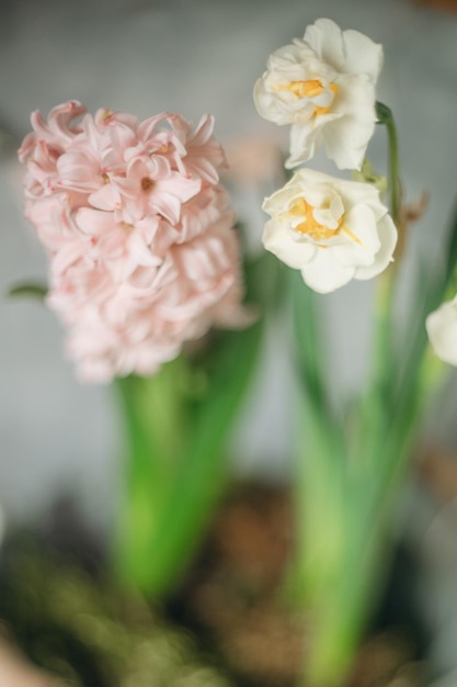 decoration of the festive table with flowers in delicate colors and light shades