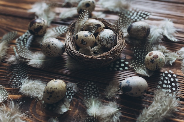 Decoration with quail eggs, nest and feathers.