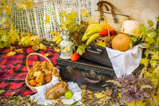 Decorations for autumn picnic in forest. Retro photo in nature. Autumn warm days. Indian summer. rustic autumn still life. Harvest or Thanksgiving. autumn decor, party. lantern, bananas, pumpkin