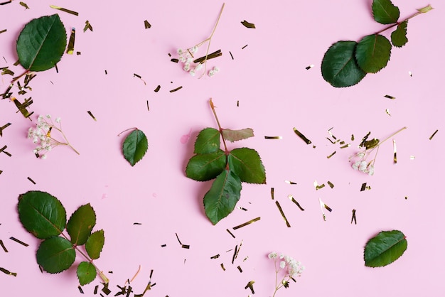 Decorative backdrop from bright confetti decoration, Gypsophila flowers and green leaves on a pink background.