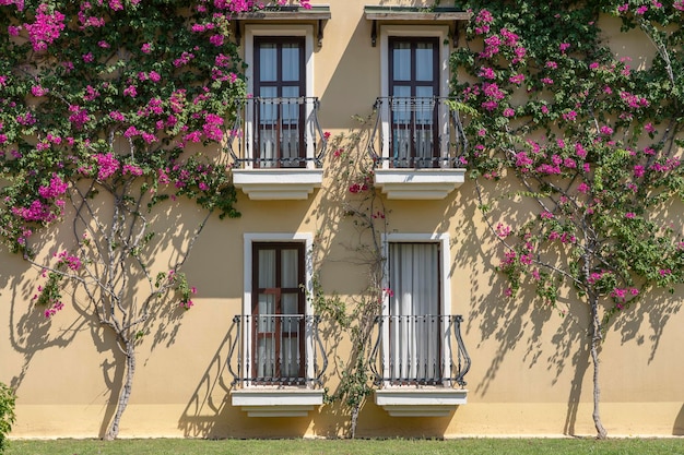 Decorative balcony of a house and flower tree on the wall in Turkey