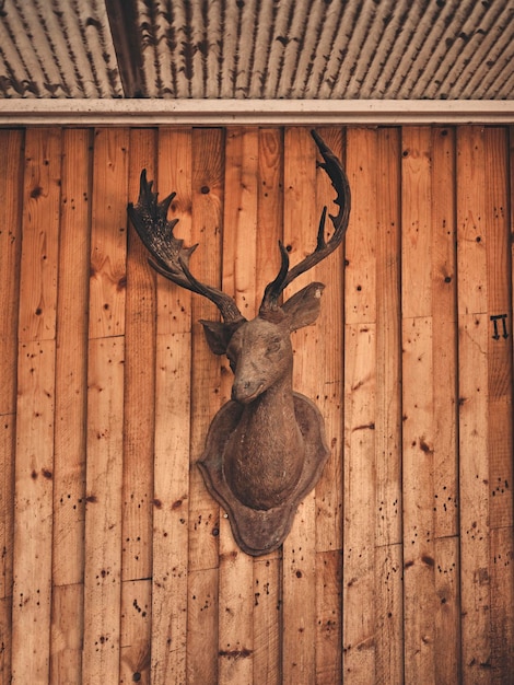 Decorative deer head on wooden wall