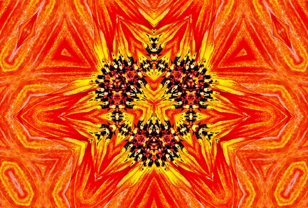 A decorative floral digital kaleidoscope pattern