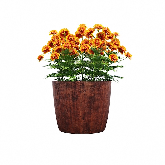 decorative flower in a pot isolated on white background, 3D illustration, cg render