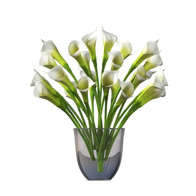 decorative flowers and plants for the interior,  isolated on white background, 3D illustration, cg