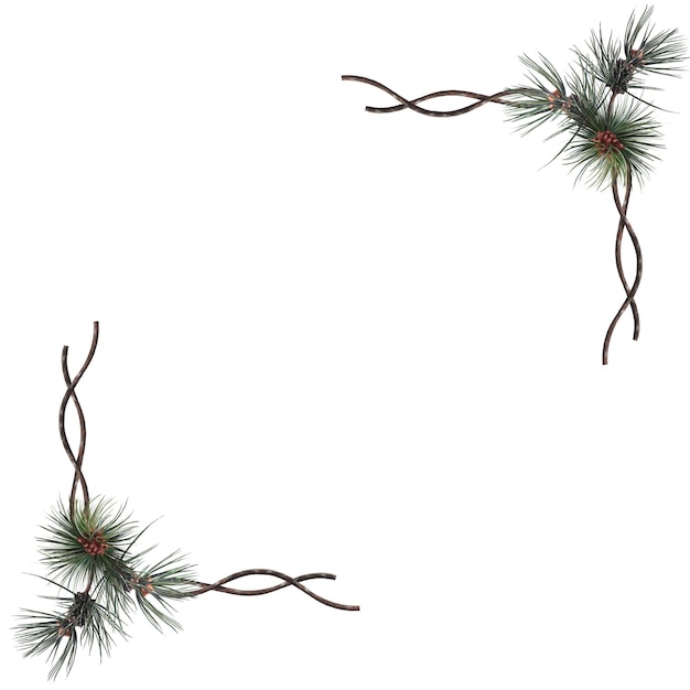 Decorative frame of evergreen spruce branches and cones