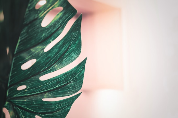 A decorative green leaf on blurred background.