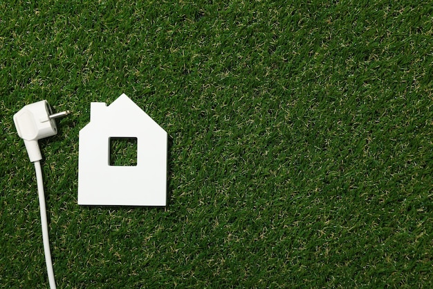 Decorative house with electric cable on the grass